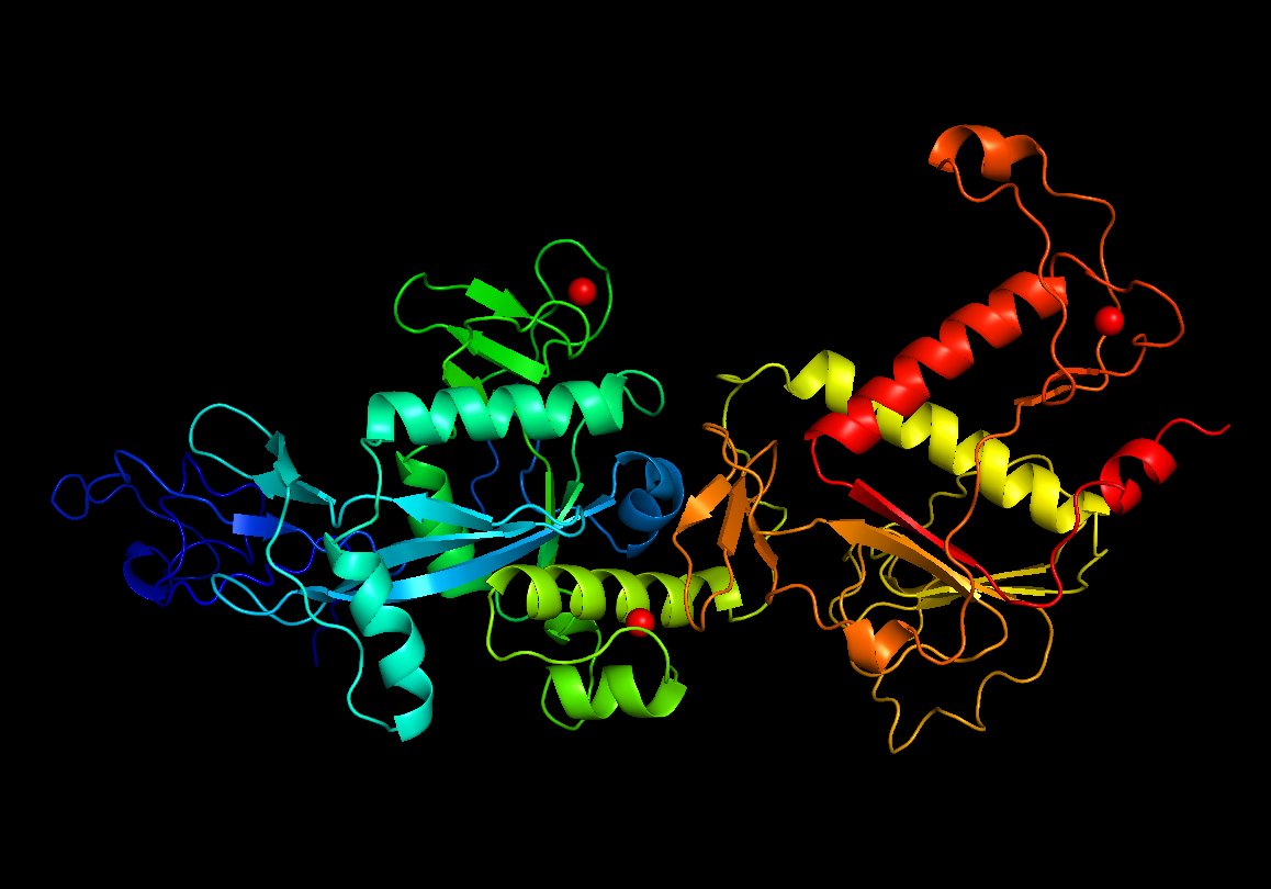 Polyprotein1ab